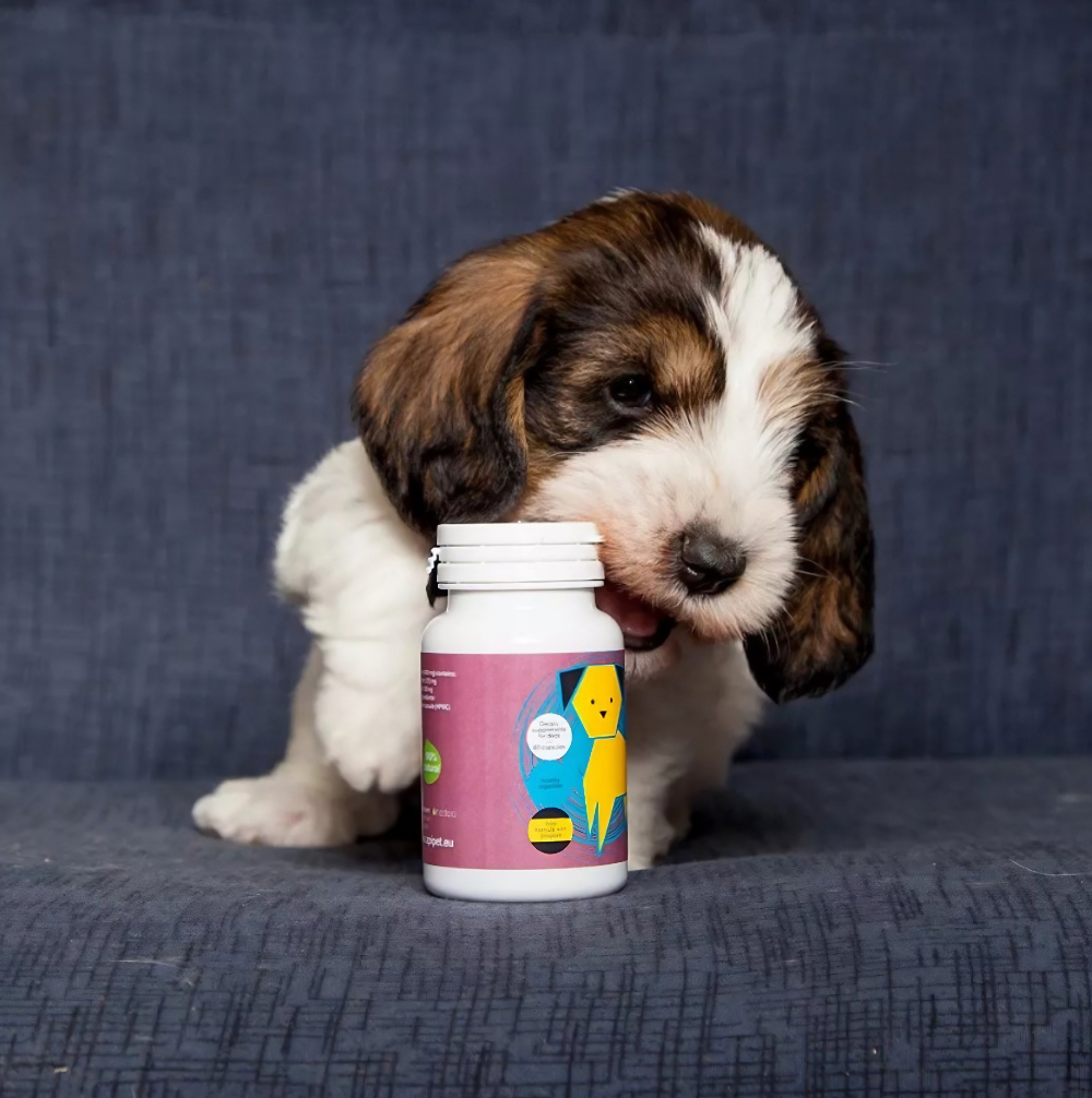 Apipet producten te koop in onze webshop www.drawapet.nl