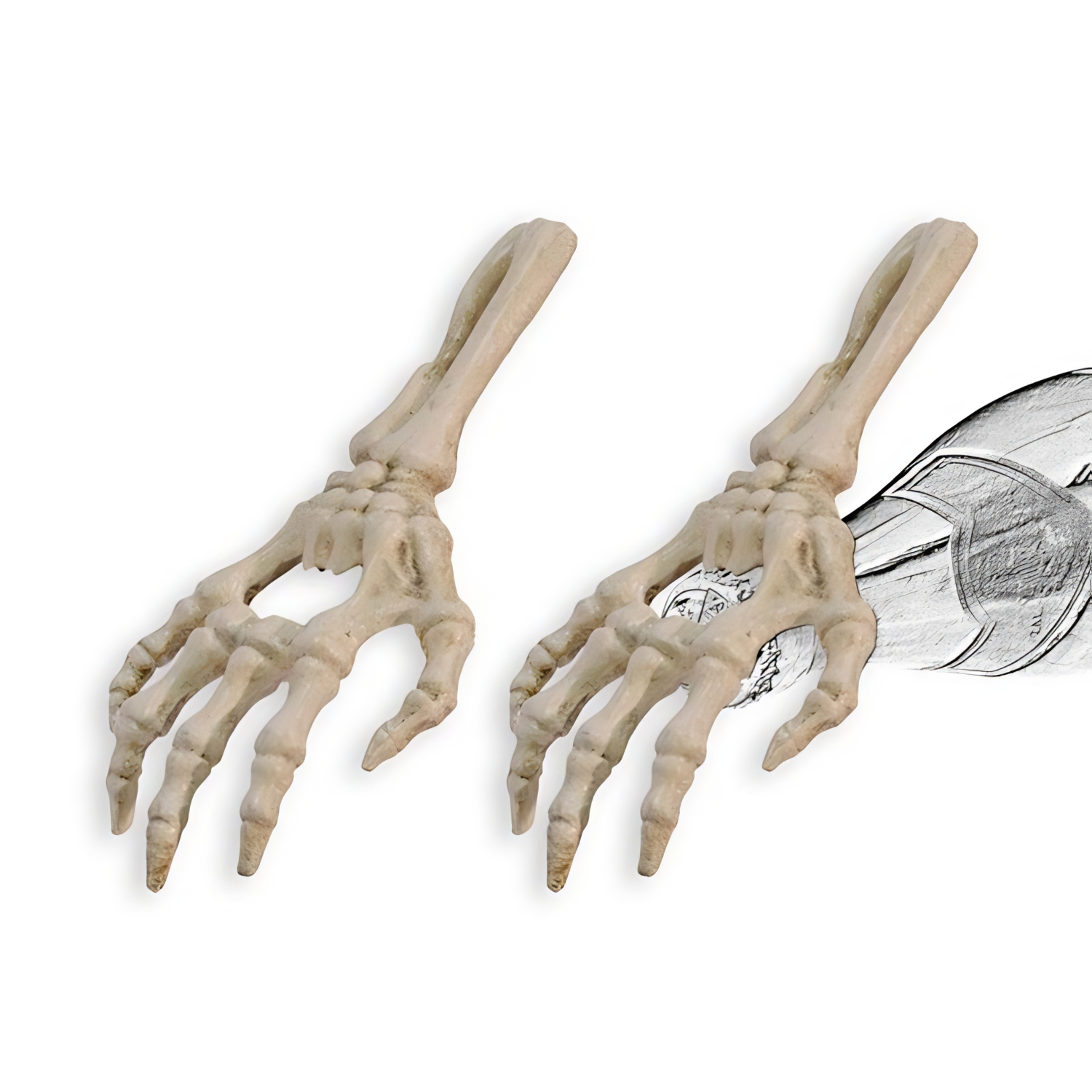 Witte Gietijzeren Flesopeners Skelethanden