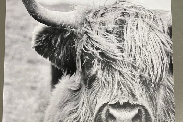 Muurrechthoeken collectie