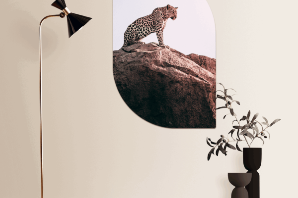 Scandi Art collectie