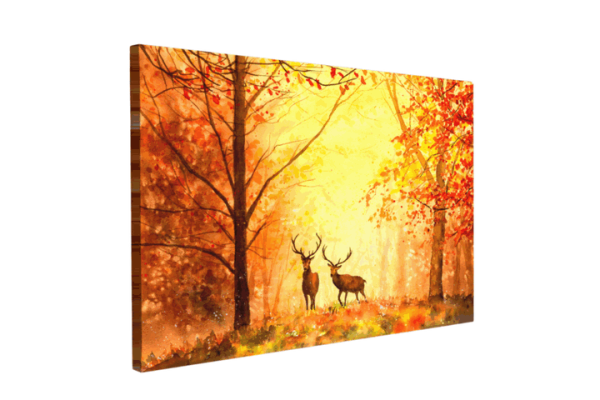 Canvas met Dieren collectie